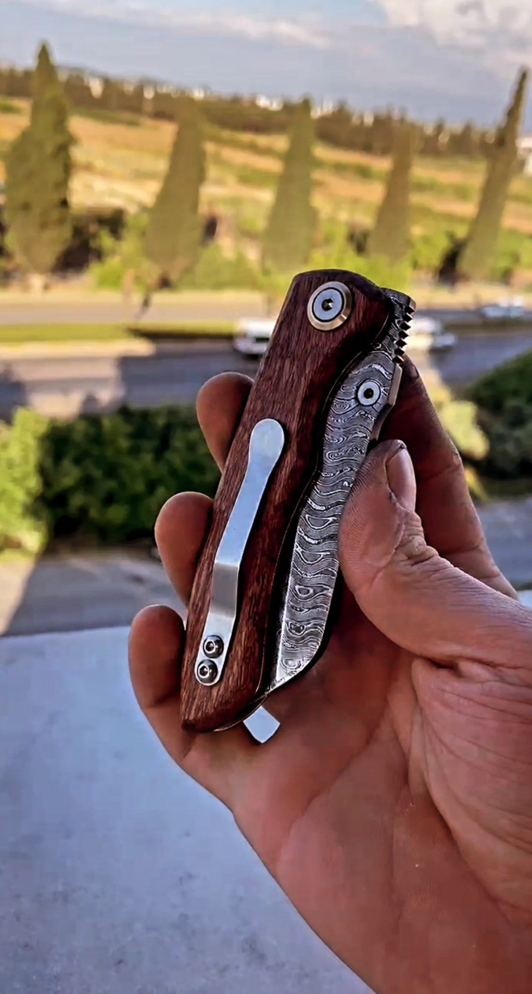 F112D Orjinal Damascus Africa Sapelli Brown Tree Model
