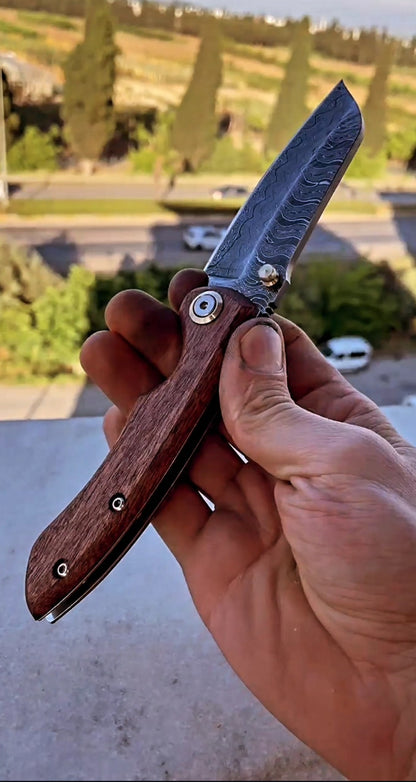 F112D Orjinal Damascus Africa Sapelli Brown Tree Model